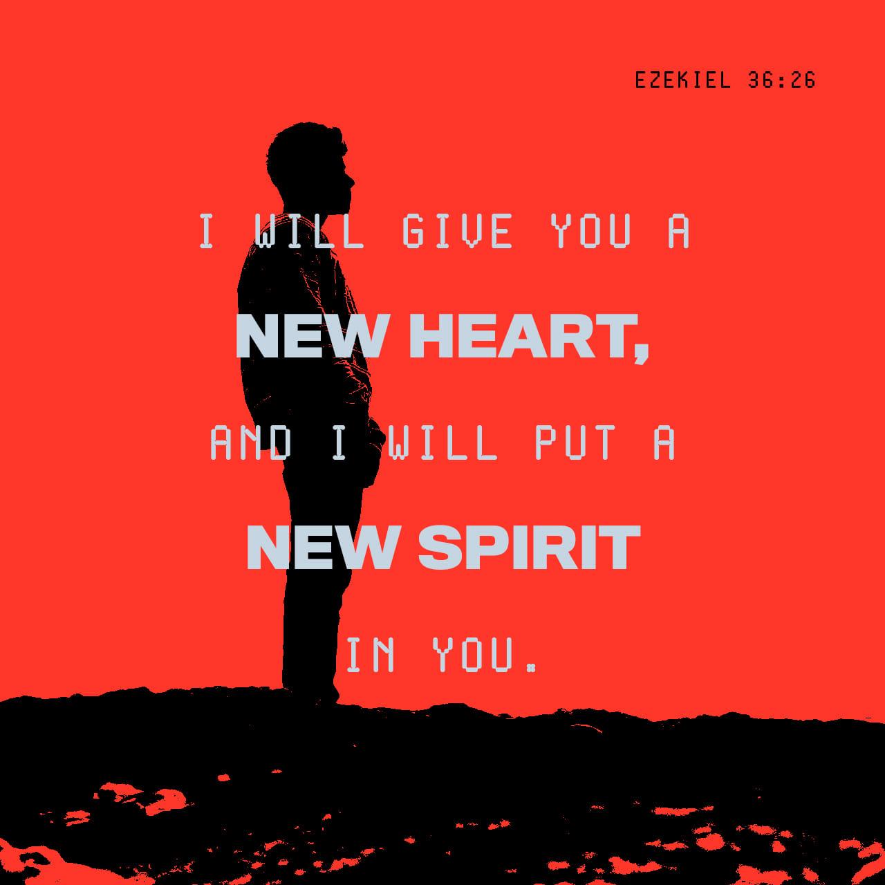 Bible Verse of the Day - day 152 - image 52766 (Ezekiel 36:26)