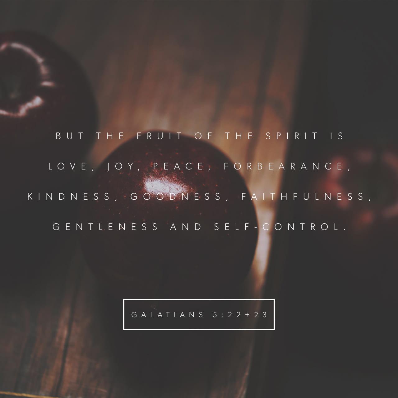 Bible Verse of the Day - day 88 - image 529 (Galatians 5:22)
