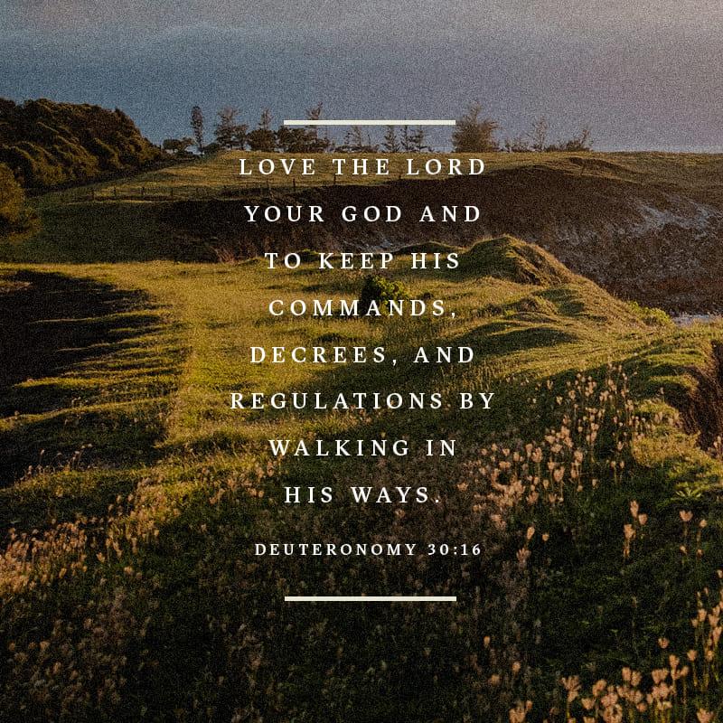 Bible Verse of the Day - day 83 - image 5749 (Deuteronomy 30:15-20)