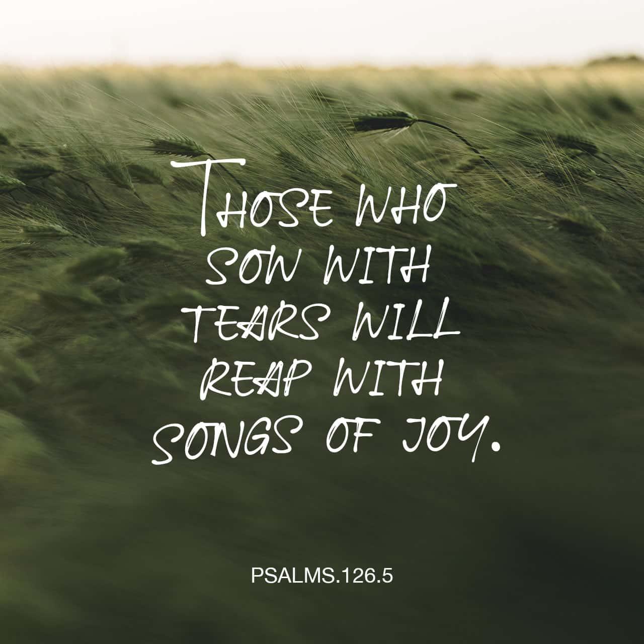 Bible Verse of the Day - day 82 - image 67193 (Psalms 126:1-6)