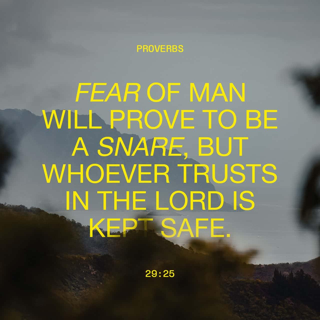 Bible Verse of the Day - day 89 - image 72140 (Proverbs 29:1-27)