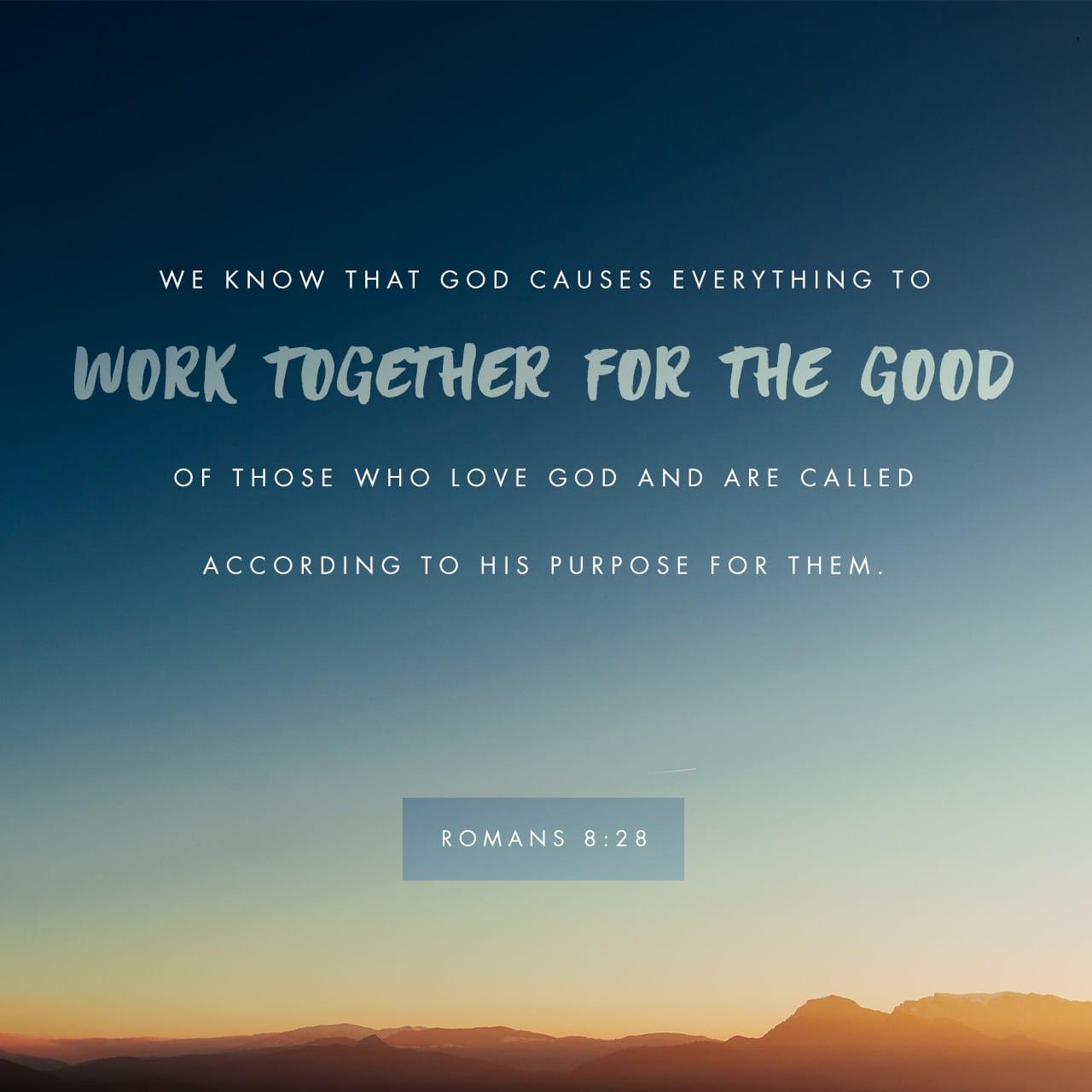 Bible Verse of the Day - day 150 - image 7408 (Romans 8:28)
