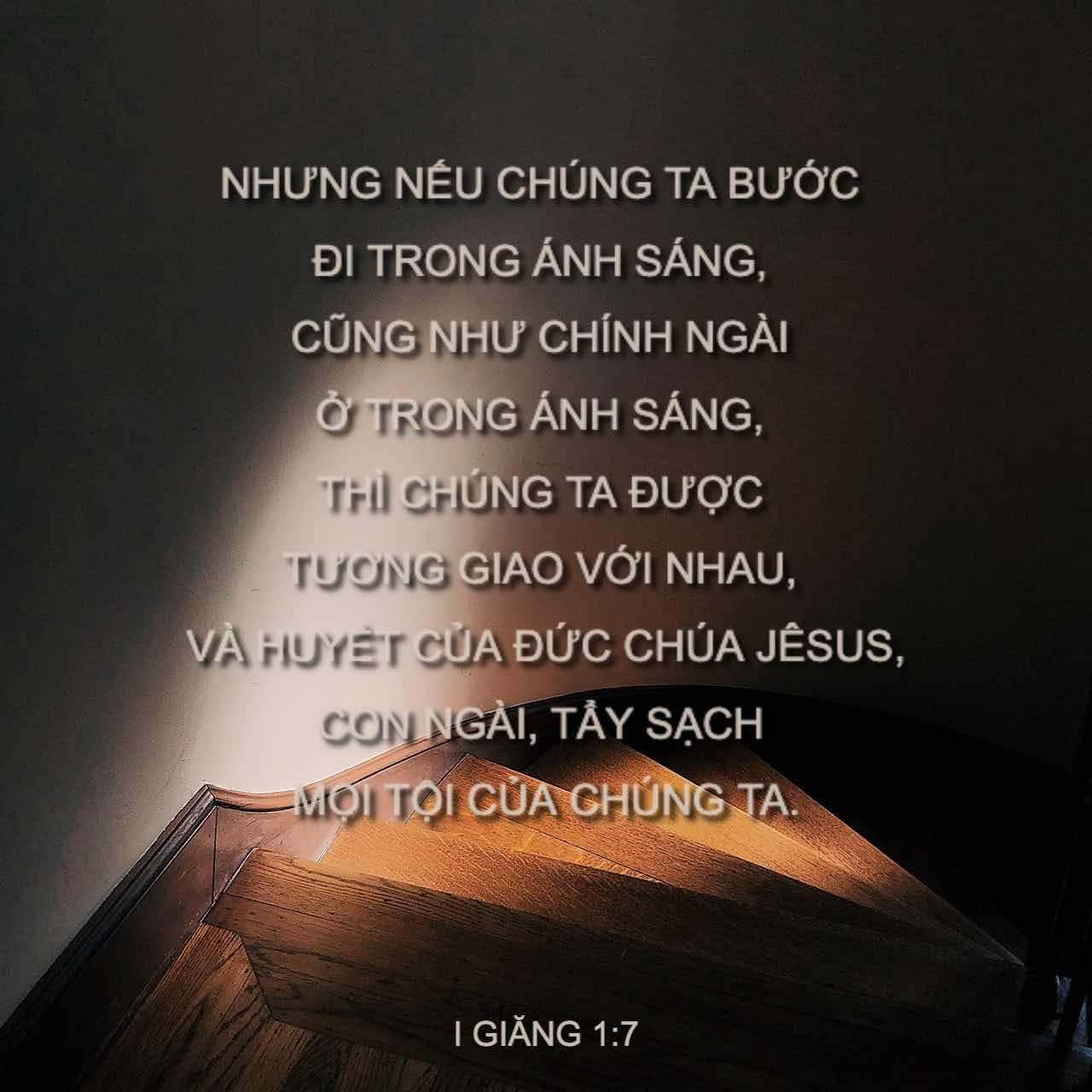Bible Verse of the Day - day 157 - image 76886 (I Giăng 1:7)