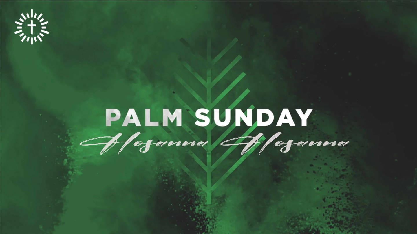 Risen Life Church - Gospel of Luke 19:28 - 21:38