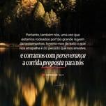 Versículo Bíblico do Dia – dia6 de fevereiro de 2025 – imagem 4