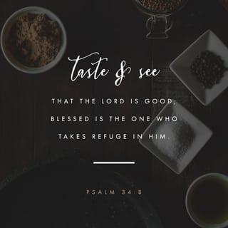 Psalms 34:8 - Taste and see that the LORD is good.
Oh, the joys of those who take refuge in him!