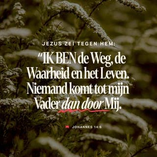 Johannes 14:2 - In het huis van Mijn Vader zijn veel woningen; als dat niet zo was, zou Ik het u gezegd hebben. Ik ga heen om een plaats voor u gereed te maken.