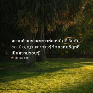 สุภาษิต 9:9-12 - จงให้คำสั่งสอนแก่คนมีปัญญาและเขาจะมีปัญญายิ่งขึ้น
จงสอนคนชอบธรรมและเขาจะเพิ่มพูนการเรียนรู้
ความยำเกรงพระยาห์เวห์เป็นที่เริ่มต้นของปัญญา
และการรู้จักองค์บริสุทธิ์เป็นความรอบรู้
เพราะโดยปัญญาวันคืนของเจ้าจะทวีขึ้น
และปีเดือนแห่งชีวิตของเจ้าจะเพิ่มพูน
ถ้าเจ้ามีปัญญา เจ้าก็มีปัญญาเพื่อตนเอง
ถ้าเจ้าเยาะเย้ย เจ้าก็จะทนแต่ลำพัง