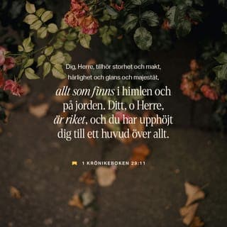 1 Krönikeboken 29:11 - Dig, HERRE, tillhör storhet och makt och härlighet och glans och majestät, ja, allt vad i himmelen och på jorden är. Ditt, o HERRE, är riket, och du har upphöjt dig till ett huvud över allt.1 Tim. 1,17. Upp. 4,11. 5,12 f.