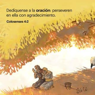 Colosenses 4:2 - Dedíquense a la oración: perseveren en ella con agradecimiento