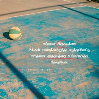 எசேக்கியேல் தீர்க்கதரிசியின் புத்தகம் 36:26 - நான் உங்களில் புதிய ஆவியை வைத்து, உங்கள் சிந்தனை முறையையும் மாற்றுவேன். நான் உங்கள் உடலில் உள்ள கல் போன்ற இருதயத்தை எடுத்துவிட்டு மென்மையான மனித இருதயத்தைக் கொடுப்பேன்.