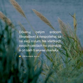 Príslovia 3:5-8 - Dôveruj celým srdcom Hospodinovi
a nespoliehaj sa na svoj rozum.
Na všetkých svojich cestách ho poznávaj
a on sám ti urovná chodníky.
Nerob sa múdrym vo svojich očiach,
ale maj bázeň pred Hospodinom a odvráť sa od zla.
Uzdraví sa tvoje telo
a vzpružia sa tvoje kosti.