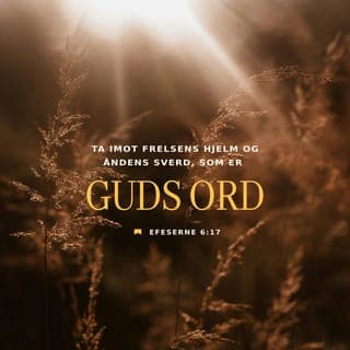 Efeserbrevet 6:13-17-13-17 - Derfor må dere ta på dere rustningen som Gud har gitt dere, så dere kan være i stand til å stå imot den ondskapen dere vil møte i livet. Da vil dere holde ut og vinne seier i alle kampene.
Stå derfor fast, med sannheten knyttet fast som et belte rundt livet.
Vissheten om at Han har frelst dere, skal være deres brynje.
Skoene på føttene skal være deres villighet til å gå ut i strid for budskapet om fred fra Gud.
Framfor alt må dere bruke troen som deres skjold. Med det blir dere i stand til å slokke alle de brennende pilene som kommer fra den onde.
Vissheten om Guds frelse er deres hjelm, og Åndens sverd er Guds Ord.