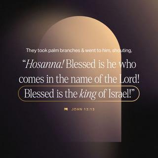 John 12:13 - took branches of palm trees, and went forth to meet him, and cried,
Hosanna:
Blessed is the King of Israel
that cometh in the name of the Lord.