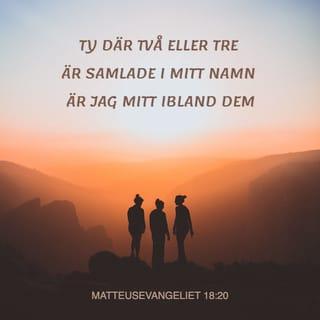 Matteusevangeliet 18:20 Ty där två eller tre är samlade i mitt namn är jag  mitt ibland dem.« | Bibel 2000 (B2000) | Ladda ner Bibelappen nu