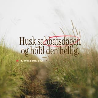 Andre Mosebok 20:3-17 - 1. Du skal ikke ha andre guder enn Meg.
2. Du skal ikke skjære ut bilder eller på annen måte lage etterligning av noe som er i Himmelen, på jorden, eller i vannet for så å falle ned og tilbe eller tjene disse bildene. For bare Jeg er Gud, din Herre. Jeg tolererer det ikke, Jeg som straffer barna for fedrenes skyld i tredje og fjerde generasjon, dersom de hater Meg, og Jeg, som viser nåde i 1000 generasjoner dersom de elsker Meg og holder Mine bud.
3. Du skal ikke misbruke Mitt navn, for Jeg, Herren, vil ikke holde dem uskyldige som misbruker Mitt navn.
4. Husk på hviledagen – den dagen skal du holde av til Meg, Herren. Du skal jobbe og gjøre alt det du trenger i seks dager, men den sjuende dagen er hviledag – en dag til Meg, Herren din Gud. Denne dagen skal du ikke gjøre noe arbeid, verken du, dine sønner, dine døtre, dine tjenere eller dine tjenestepiker. Du skal heller ikke la dyrene dine arbeide, eller fremmede som bor hos deg. For på seks dager skapte Jeg himmelen og jorden, havet og alt som er i dem. På den sjuende dagen hvilte Jeg. Derfor velsignet Jeg hviledagen og ville at denne dagen skulle være satt til side for Meg.
5. Du skal vise respekt for faren og moren din. Slik kan du få et langt liv og bo lenge i det landet Jeg, Herren din Gud, gir deg.
6. Du skal ikke drepe.
7. Du skal ikke ha sex utenfor ekteskapet.
8. Du skal ikke stjele.
9. Du skal ikke lyve.
10. Du skal ikke være misunnelig på noe som helst andre mennesker eier. Du skal heller ikke ønske deg en annen manns kone, andres tjenere eller deres dyr.»