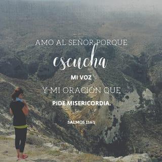 Psalms 116:1-10 - I love the LORD, for he heard my voice;
he heard my cry for mercy.
Because he turned his ear to me,
I will call on him as long as I live.
The cords of death entangled me,
the anguish of the grave came over me;
I was overcome by distress and sorrow.
Then I called on the name of the LORD:
“LORD, save me!”
The LORD is gracious and righteous;
our God is full of compassion.
The LORD protects the unwary;
when I was brought low, he saved me.
Return to your rest, my soul,
for the LORD has been good to you.
For you, LORD, have delivered me from death,
my eyes from tears,
my feet from stumbling,
that I may walk before the LORD
in the land of the living.
I trusted in the LORD when I said,
“I am greatly afflicted”