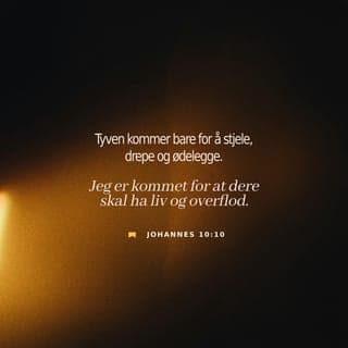 Johannes’ evangelium 10:9-10 - For å bruke et annet bilde: Jeg er selve døren. De som kommer til Meg og går gjennom Meg, skal bli frelst og vil få alt det de trenger i livet. Det finnes en tyv som bare er ute etter å stjele og drepe og ødelegge livet deres. Jeg, derimot, er kommet for at dere skal få et godt liv – ja, liv i overflod.