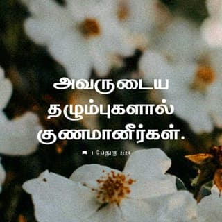 1 பேது 2:24-25 - நாம் பாவங்களுக்குச் செத்து, நீதிக்குப் பிழைத்திருக்கத்தக்கதாக, அவர்தாமே தமது சரீரத்திலே நம்முடைய பாவங்களைச் சிலுவையிலே சுமந்தார்; அவருடைய தழும்புகளால் குணமானீர்கள். சிதறிப்போன ஆடுகளைப்போல இருந்தீர்கள்; இப்பொழுதோ உங்களுடைய ஆத்துமாக்களுக்கு மேய்ப்பரும் கண்காணியுமாக இருக்கிற இயேசுகிறிஸ்துவிடம் திரும்பிவந்திருக்கிறீர்கள்.