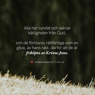 Romarbrevet 3:23-24 - Alla har ju syndat och förlorat gemenskapen med Gud, han som kan rädda oss. Men nu har han gett oss en möjlighet som vi inte förtjänar. Han har visat oss nåd och låtit oss bli skuldfria inför honom genom att låta Jesus Kristus köpa oss fria från vårt slaveri under synden.