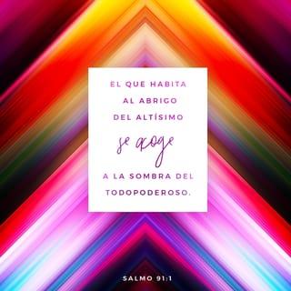 Salmos 91:1 - El que vive bajo la sombra protectora
del Altísimo y Todopoderoso