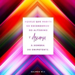 Salmos 91:1 - Aquele que habita no esconderijo do Altíssimo, à sombra do Onipotente descansará.