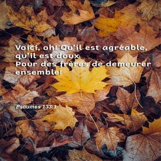 Psaumes 133:1-3 - Quel bonheur, quelle douceur
pour des frères d’être ensemble !
C’est comme l’huile parfumée sur la tête d’Aaron,
qui descend jusqu’à sa barbe, jusqu’au bord de ses vêtements.
C’est comme les gouttes de rosée de la montagne de l’Hermon,
qui descendent sur la colline, sur la colline de Sion.
C’est là que le SEIGNEUR donne sa bénédiction,
la vie pour toujours.
