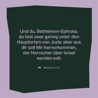 Micha 5:1-5 - Aber nun, du Kriegerin, rüste dich! denn man wird uns belagern und den Richter Israels mit der Rute auf den Backen schlagen. Und du Bethlehem Ephrata, die du klein bist unter den Städten in Juda, aus dir soll mir kommen, der in Israel HERR sei, welches Ausgang von Anfang und von Ewigkeit her gewesen ist. Indes läßt er sie plagen bis auf die Zeit, daß die, so gebären soll, geboren habe; da werden dann die übrigen seiner Brüder wiederkommen zu den Kindern Israel. Er wird aber auftreten und weiden in der Kraft des HERRN und im Sieg des Namens des HERRN, seines Gottes. Und sie werden wohnen; denn er wird zur selben Zeit herrlich werden, soweit die Welt ist.
Und er wird unser Friede sein. Wenn Assur in unser Land fällt und in unsre Häuser bricht, so werden wir sieben Hirten und acht Fürsten wider ihn bestellen