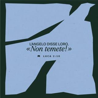 Vangelo secondo Luca 2:8-52 - In quella stessa regione c’erano dei pastori che stavano nei campi e di notte facevano la guardia al loro gregge. E un angelo del Signore si presentò a loro e la gloria del Signore risplendé intorno a loro, e furono presi da gran timore. L’angelo disse loro: «Non temete, perché io vi porto la buona notizia di una grande gioia che tutto il popolo avrà: “Oggi, nella città di Davide, è nato per voi un Salvatore, che è Cristo, il Signore. E questo vi servirà di segno: troverete un bambino avvolto in fasce e coricato in una mangiatoia”».
E a un tratto vi fu con l’angelo una moltitudine dell’esercito celeste, che lodava Dio e diceva:
«Gloria a Dio nei luoghi altissimi e pace in terra agli uomini che egli gradisce!»
Quando gli angeli se ne furono andati verso il cielo, i pastori dicevano tra di loro: «Andiamo fino a Betlemme e vediamo ciò che è avvenuto e che il Signore ci ha fatto sapere». Andarono in fretta e trovarono Maria e Giuseppe e il bambino, adagiato nella mangiatoia; e, vedutolo, divulgarono quello che era stato loro detto di quel bambino. E tutti quelli che li udirono si meravigliarono delle cose dette loro dai pastori. Maria serbava in sé tutte queste cose, meditandole in cuor suo. E i pastori tornarono indietro, glorificando e lodando Dio per tutto quello che avevano udito e visto, com’era stato loro annunciato.
Quando furono compiuti gli otto giorni dopo i quali egli doveva essere circonciso, gli fu posto nome Gesù, il nome che gli era stato dato dall’angelo prima che egli fosse concepito. Quando furono compiuti i giorni della loro purificazione, secondo la legge di Mosè, portarono il bambino a Gerusalemme per presentarlo al Signore, come è scritto nella legge del Signore: «Ogni maschio primogenito sarà consacrato al Signore»; e per offrire il sacrificio, di cui parla la legge del Signore, di un paio di tortore o di due giovani colombi.
Vi era in Gerusalemme un uomo di nome Simeone. Quest’uomo era giusto e timorato di Dio, e aspettava la consolazione d’Israele; lo Spirito Santo era sopra di lui e gli era stato rivelato dallo Spirito Santo che non sarebbe morto prima di aver visto il Cristo del Signore. Egli, mosso dallo Spirito, andò nel tempio; e, come i genitori vi portavano il bambino Gesù per adempiere a suo riguardo le prescrizioni della legge, lo prese tra le braccia e benedisse Dio, dicendo:
«Ora, o Signore, tu lasci andare in pace il tuo servo, secondo la tua parola;
perché i miei occhi hanno visto la tua salvezza,
che hai preparata dinanzi a tutti i popoli,
luce per illuminare le genti e gloria del tuo popolo Israele».
Il padre e la madre di Gesù restavano meravigliati delle cose che si dicevano di lui. E Simeone li benedisse, dicendo a Maria, madre di lui: «Ecco, egli è posto a caduta e a rialzamento di molti in Israele, come segno di contraddizione (e a te stessa una spada trafiggerà l’anima), affinché i pensieri di molti cuori siano svelati».
Vi era anche Anna, profetessa, figlia di Penuel, della tribù di Ascer. Era molto avanti negli anni; dopo essere vissuta con il marito sette anni dalla sua verginità, era rimasta vedova e aveva raggiunto gli ottantaquattro anni. Non si allontanava mai dal tempio e serviva Dio notte e giorno con digiuni e preghiere. Sopraggiunta in quella stessa ora, anche lei lodava Dio e parlava del bambino a tutti quelli che aspettavano la redenzione di Gerusalemme.
Come ebbero adempiuto tutte le prescrizioni della legge del Signore, tornarono in Galilea, a Nazaret, loro città.
E il bambino cresceva e si fortificava; era pieno di sapienza e la grazia di Dio era su di lui.
I suoi genitori andavano ogni anno a Gerusalemme per la festa di Pasqua.
Quando giunse all’età di dodici anni, salirono a Gerusalemme, secondo l’usanza della festa. Passati i giorni della festa, mentre tornavano, il bambino Gesù rimase in Gerusalemme all’insaputa dei genitori, i quali, pensando che egli fosse nella comitiva, camminarono una giornata, poi si misero a cercarlo tra i parenti e i conoscenti; e, non avendolo trovato, tornarono a Gerusalemme cercandolo. Tre giorni dopo lo trovarono nel tempio, seduto in mezzo ai maestri: li ascoltava e faceva loro delle domande; e tutti quelli che lo udivano si stupivano del suo senno e delle sue risposte. Quando i suoi genitori lo videro, rimasero stupiti, e sua madre gli disse: «Figlio, perché ci hai fatto così? Ecco, tuo padre e io ti cercavamo, stando in gran pena». Ed egli disse loro: «Perché mi cercavate? Non sapevate che io dovevo trovarmi nella casa del Padre mio?» Ed essi non capirono le parole che egli aveva dette loro. Poi discese con loro, andò a Nazaret e stava loro sottomesso. Sua madre serbava tutte queste cose nel suo cuore.
E Gesù cresceva in sapienza, in statura e in grazia davanti a Dio e agli uomini.