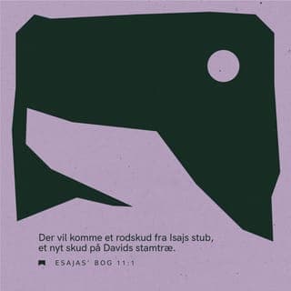 Esajas' Bog 11:1-12 - Og der skal opgaa et Skud af Isajs Stub, og en Kvist af hans Rødder skal bære Frugt. Og Herrens Aand skal hvile over ham, Visdoms og Forstands Aand, Raads og Styrkes Aand, Herrens Kundskabs og Frygts Aand. Og hans Lyst skal være i Herrens Frygt, og han skal ikke dømme efter det, hans Øjne se, ej heller holde Ret efter det, hans Øren høre. Men han skal dømme de ringe med Retfærdighed og holde Ret for de lidende i Landet med Oprigtighed; og han skal slaa Jorden med sin Munds Ris og dræbe den ugudelige med sine Læbers Aande. Og Retfærdighed skal være hans Lænders Bælte og Trofasthed hans Hofters Bælte. Og Ulven skal gaa hos Lammet og Parderen ligge hos Kiddet; Kalven og Løven og Fedekvæget skulle være sammen, og en liden Dreng skal drive dem. Og Koen og Bjørnen skulle græsse sammen, deres Unger skulle ligge hos hinanden; og Løven skal æde Straa som Oksen. Og det diende Barn skal lege ved Øglens Hul og det afvante Barn stikke sin Haand til Basiliskens Hule. De skulle ej gøre noget ondt og ej noget fordærveligt paa hele mit hellige Bjerg; thi Jorden er fuld af Herrens Kundskab, ligesom Vandet skjuler Havets Bund.
Og det skal ske paa den Dag, at Hedningerne skulle spørge efter Isajs Rod, der staar som et Banner for Folkene; og hans Hvilested skal være Herlighed. Og det skal ske paa den Dag, at Herren atter, anden Gang, skal udstrække sin Haand til at forhverve sig det overblevne af sit Folk, som skal blive tilovers fra Assyrien og fra Ægypten og fra Pathros og fra Morland og fra Elam og fra Sinear og fra Hamath og fra Øerne i Havet. Og han skal opløfte et Banner for Hedningerne og sanke Israels fordrevne og samle Judas adspredte fra Jordens fire Hjørner.