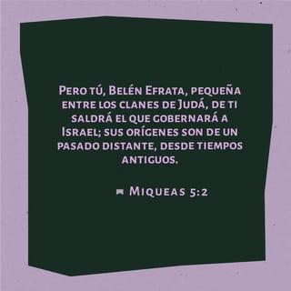 MIQUEAS 5:1-5 - Rodéate ahora de muros, hija de guerreros; nos han sitiado; con vara herirán en la mejilla al juez de Israel.
Pero tú, Belén Efrata, pequeña para estar entre las familias de Judá, de ti me saldrá el que será Señor en Israel; y sus salidas son desde el principio, desde los días de la eternidad. Pero los dejará hasta el tiempo que dé a luz la que ha de dar a luz; y el resto de sus hermanos se volverá con los hijos de Israel. Y él estará, y apacentará con poder de Jehová, con grandeza del nombre de Jehová su Dios; y morarán seguros, porque ahora será engrandecido hasta los fines de la tierra.
Y este será nuestra paz. Cuando el asirio viniere a nuestra tierra, y cuando hollare nuestros palacios, entonces levantaremos contra él siete pastores, y ocho hombres principales