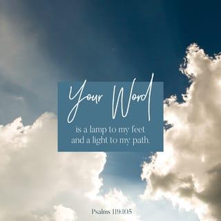 Psalm 119:105 - Thy word is a lamp unto my feet,
And a light unto my path.