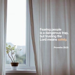 Proverbs 29:25 MSG The Message