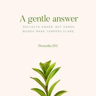 Proverbs 15:1 - A soft answer turneth away wrath;
But a grievous word stirreth up anger.