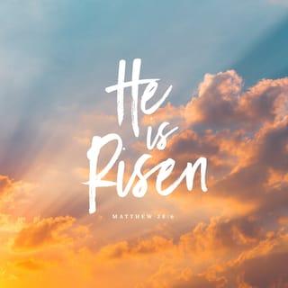 Matthew 28:6 - He is not here, for he has risen, just like he said. Come, see the place where the Lord was lying.