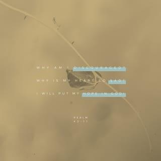 Psalms 42:11 - အို အကျွန်ုပ်၏စိတ်ညာဉ်၊ သင်သည် အဘယ်ကြောင့် ညှိုးငယ်နေရပါသနည်း။ အကျွန်ုပ်အထဲ၌ အဘယ်ကြောင့် မငြိမ်မသက်ဖြစ်နေရပါသနည်း။ ဘုရားရှင်အား မျှော်လင့်၍ ယုံကြည်ကိုးစားလော့။ အကျွန်ုပ်သည် အကျွန်ုပ်အားကယ်တင်တော်မူသောအရှင်၊ အကျွန်ုပ်ဘုရားရှင်ကို နောက်ထပ်တစ်ဖန် ချီးမွမ်းပါမည်။