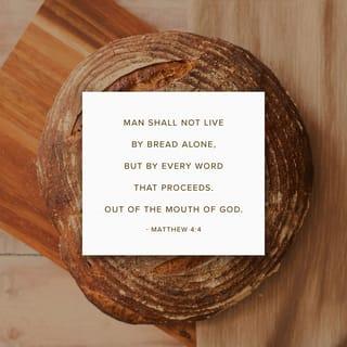 Matthew 4:4 - But he answered and said, “It is written, ‘Man will not live on bread alone, but on every word that comes out of the mouth of God.”
