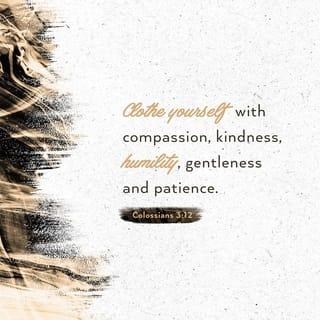 Colossians 3:12-13 - Therefore, as God’s chosen people, holy and dearly loved, clothe yourselves with compassion, kindness, humility, gentleness and patience. Bear with each other and forgive one another if any of you has a grievance against someone. Forgive as the Lord forgave you.