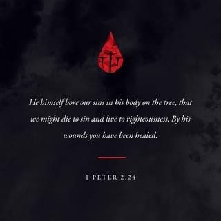 1 Peter 2:24 - He personally carried our sins
in his body on the cross
so that we can be dead to sin
and live for what is right.
By his wounds
you are healed.