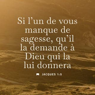 Jacques 1:4-10 - Mais il faut que votre endurance aille jusqu’au bout de ce qu’elle peut faire pour que vous parveniez à l’état d’adultes et soyez pleins de force, des hommes auxquels il ne manque rien.
Si l’un de vous manque de sagesse, qu’il la demande à Dieu qui la lui donnera, car il donne à tous généreusement et sans faire de reproche. Il faut cependant qu’il la demande avec foi, sans douter, car celui qui doute ressemble aux vagues de la mer agitées et soulevées par le vent. Qu’un tel homme ne s’imagine pas obtenir quoi que ce soit du Seigneur : son cœur est partagé, il est inconstant dans toutes ses entreprises.
Que le frère ou la sœur pauvre soit fier de ce que Dieu l’élève, et le riche de ce que Dieu l’abaisse. En effet, il passera comme la fleur des champs.