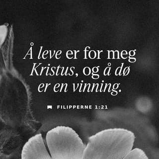 Filipperbrevet 1:21-24 - For livet mitt handler om Kristus, og døden er for meg en seier, for da vil jeg leve evig i fellesskap med min Herre. Men hvis mitt liv kan være til mer nytte her på jorden ved at jeg er med på å spre budskapet om Ham – så blir det vanskelig å velge. Da har jeg egentlig lyst til å være både her og i Himmelen. Jeg har et ønske om å bryte opp herfra for å være sammen med Kristus, for det er det aller beste jeg kan tenke meg. Men for deres skyld er det nødvendig at jeg blir værende her på jorden ennå en stund.