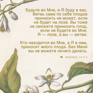 Иоанн 15:4 - Пребудьте во Мне, тесно связаны будьте со Мной,
и Я в вас пребуду.
Как ветвь сама по себе не может плод приносить,
если не будет она на лозе,
так не принесете и вы никакого плода,
если во Мне, в тесной связи со Мной, не пребудете.