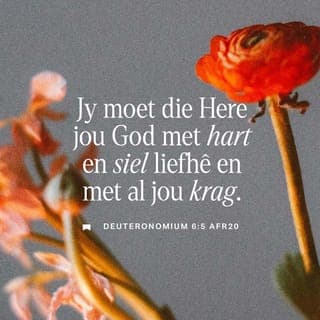 DEUTERONOMIUM 6:4-9 - “Luister, Israel, die Here is ons God, Hy is die enigste Here. Daarom moet jy die Here jou God liefhê met hart en siel, met al jou krag.
“Hierdie gebooie wat ek jou vandag gegee het, moet in jou gedagtes bly. Jy moet dit inskerp by jou kinders en met hulle daaroor praat as jy in jou huis is en as jy op pad is, as jy gaan slaap en as jy opstaan. Jy moet dit as herinneringsteken vasbind aan jou hande, en dit moet 'n merk op jou voorkop wees. Skryf dit op jou deurkosyne en op jou stadspoorte.