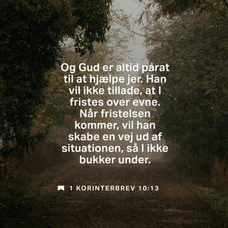 Paulus' Første Brev til Korintherne 10:13 - Der er ikke kommet andre end menneskelige Fristelser over eder, og trofast er Gud, som ikke vil tillade, at I fristes over Evne, men som sammen med Fristelsen vil skabe ogsaa Udgangen af den, for at I maa kunne udholde den.