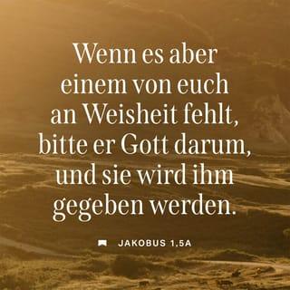 Jakobus 1:5-9 - Wenn es jemandem von euch an Weisheit mangelt zu entscheiden, was in einer bestimmten Angelegenheit zu tun ist, soll er Gott darum bitten, und Gott wird sie ihm geben. Ihr wisst doch, dass er niemandem sein Unvermögen vorwirft und dass er jeden reich beschenkt. Betet aber im festen Vertrauen und zweifelt nicht; denn wer zweifelt, gleicht den Wellen im Meer, die vom Sturm hin- und hergetrieben werden. Ein solcher Mensch kann nicht erwarten, dass der Herr ihm etwas gibt. In allem, was er tut, ist er unbeständig und hin- und hergerissen.
Wer unter euch arm ist und wenig beachtet wird, soll sich darüber freuen, dass er vor Gott hoch angesehen ist.
