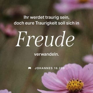 Johannes 16:20 - ° Es ist nur noch eine kurze Zeit und dann werdet ihr mich nicht mehr sehen. Aber es wird auch nicht lange dauern, bis ihr mich wieder sehen könnt!« ° Da fragten sich einige von seinen Schülern untereinander: »Was meint er damit, wenn er zu uns sagt: ›Es ist nur eine kurze Zeit und dann werdet ihr mich nicht sehen, und es dauert auch nicht mehr lange, bis ihr mich wieder seht, denn ich gehe hin zum Vater.‹?« ° Sie sagten: »Was bedeutet das? Was meint er mit ›kurzer Zeit‹? Wir verstehen nicht, was er sagen will.« ° Jesus wusste, dass sie ihm eine Frage stellen wollten. Da sagte er zu ihnen: »Diskutiert ihr darüber miteinander, dass ich gesagt habe: ›Es ist nur eine kurze Zeit, bis ihr mich nicht mehr seht, und auch nur eine kurze Zeit, dass ihr mich wieder zu Gesicht bekommt.‹? ° Ich sage euch ganz deutlich: Ihr werdet voller Trauer sein und weinen, doch die Welt wird sich freuen. Ihr werdet trauern, aber eure Trauer wird am Ende doch zur Freude werden. ° Es ist so wie bei einer Geburt. Während der Geburt selbst empfindet die Frau Schmerz, weil der Augenblick gekommen ist, auf den alles ankommt. Wenn aber das Kind geboren ist, dann denkt sie nicht mehr an ihre Angst und Schmerzen, weil sie so von Freude erfüllt ist, dass sie ein Menschenkind zur Welt gebracht hat. ° So ist es auch bei euch. Ihr seid jetzt in großer Bedrängnis. Aber ich werde euch wiedersehen, und dann wird euer Herz sich freuen. Diese Freude kann euch dann niemand mehr wieder wegnehmen. ° Und dann, an dem Tag, werdet ihr mir überhaupt keine Fragen mehr stellen. Ja, ich versichere euch: Wenn ihr den Vater um irgendetwas in meinem Namen bittet, dann gibt er es euch ganz gewiss. ° Bis jetzt habt ihr noch nichts in meinem Namen erbeten. Bittet einfach und ihr werdet empfangen! Dadurch wird eure Freude zur Vollendung kommen. ° Ich habe euch das alles in rätselhaften Worten gesagt. Aber die Zeit kommt, wo ich nicht mehr auf diese Weise zu euch sprechen werde. Dann werde ich euch ganz offen mitteilen, was über Gott den Vater zu sagen ist. ° Zu der Zeit werdet ihr selbst eure Bitten in meinem Namen vorbringen. Dann wird es auch nicht mehr so sein, dass ich den Vater für euch um etwas bitten werde. ° Denn er selbst, der Vater, liebt euch, weil ihr mich auch voller Liebe aufgenommen und mir geglaubt habt, dass ich aus dem Vater hervorgegangen bin. ° Ich bin aus der Gegenwart des Vaters hervorgegangen und in diese Welt gekommen. Aber ich werde diese Welt wieder verlassen und zum Vater gehen.«