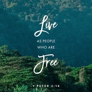 1 Peter 2:9-25 - But you are a chosen people, a royal priesthood, a holy nation, God’s special possession, that you may declare the praises of him who called you out of darkness into his wonderful light. Once you were not a people, but now you are the people of God; once you had not received mercy, but now you have received mercy.
Dear friends, I urge you, as foreigners and exiles, to abstain from sinful desires, which wage war against your soul. Live such good lives among the pagans that, though they accuse you of doing wrong, they may see your good deeds and glorify God on the day he visits us.
Submit yourselves for the Lord’s sake to every human authority: whether to the emperor, as the supreme authority, or to governors, who are sent by him to punish those who do wrong and to commend those who do right. For it is God’s will that by doing good you should silence the ignorant talk of foolish people. Live as free people, but do not use your freedom as a cover-up for evil; live as God’s slaves. Show proper respect to everyone, love the family of believers, fear God, honor the emperor.
Slaves, in reverent fear of God submit yourselves to your masters, not only to those who are good and considerate, but also to those who are harsh. For it is commendable if someone bears up under the pain of unjust suffering because they are conscious of God. But how is it to your credit if you receive a beating for doing wrong and endure it? But if you suffer for doing good and you endure it, this is commendable before God. To this you were called, because Christ suffered for you, leaving you an example, that you should follow in his steps.
“He committed no sin,
and no deceit was found in his mouth.”
When they hurled their insults at him, he did not retaliate; when he suffered, he made no threats. Instead, he entrusted himself to him who judges justly. “He himself bore our sins” in his body on the cross, so that we might die to sins and live for righteousness; “by his wounds you have been healed.” For “you were like sheep going astray,” but now you have returned to the Shepherd and Overseer of your souls.
