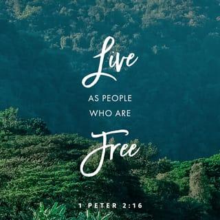 1 Peter 2:15-16 - For it is God’s will that by doing good you should silence the ignorant talk of foolish people. Live as free people, but do not use your freedom as a cover-up for evil; live as God’s slaves.