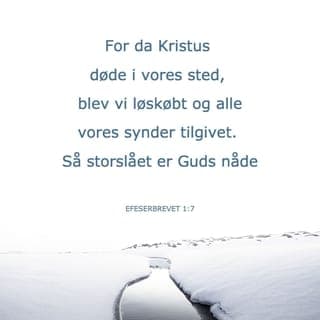 Efeserbrevet 1:7-9-10 - for da Kristus døde i vores sted, blev vi erklæret skyldfri og vores synder tilgivet. Så storslået er Guds nåde. Den udøste han over os i rigt mål tillige med al mulig visdom og indsigt. Han besluttede af egen fri vilje at gøre os bekendt med det mysterium, som hans frelsesplan hidtil har været. Når tiden er inde, vil han fuldføre sin plan ved at lægge alle ting i himlen og på jorden ind under Kristi herredømme.