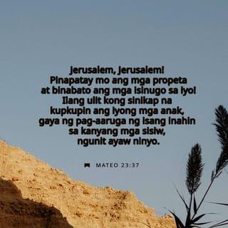 Mateo 23:37 - “Jerusalem, Jerusalem! Pinapatay mo ang mga propeta at binabato ang mga isinugo sa iyo! Ilang ulit kong sinikap na kupkupin ang iyong mga anak, gaya ng pag-aaruga ng isang inahin sa kanyang mga sisiw, ngunit ayaw ninyo.